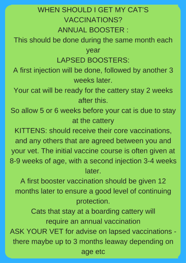 vaccinations required for cattery