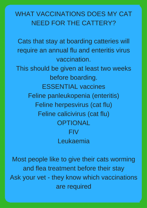 what vaccinations for a cattery