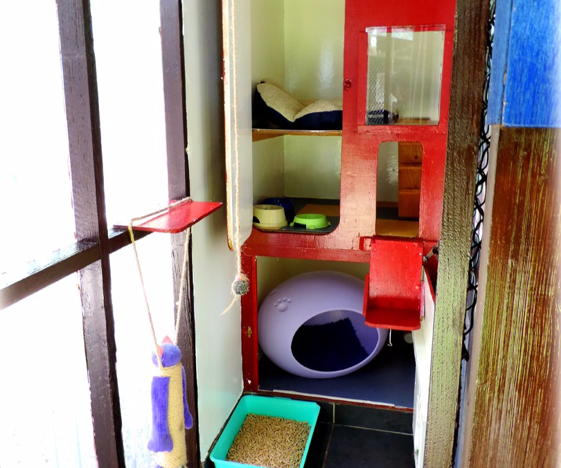 elderly single cabin at copperfield cattery